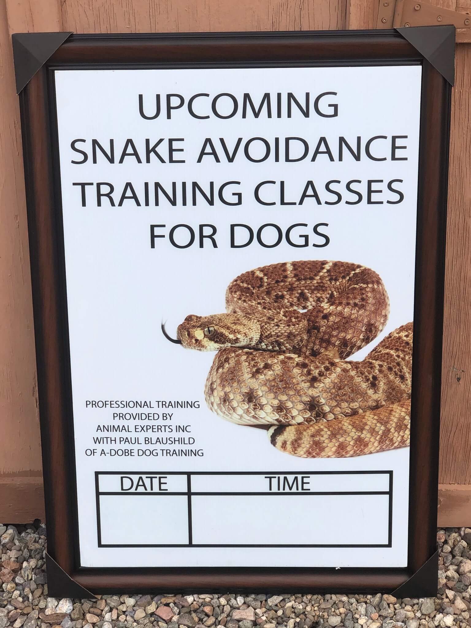 Snake avoidance training classes